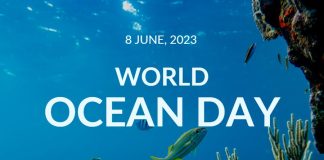 World Oceans Day 2023: integrating climate change in ocean management for a resilient Blue Pacific