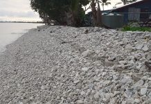 Countries are drowning’: climate expert calls for urgent rethink on scale of aid for developing world