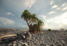 UN’s climate work at risk, after EU limits budget increase