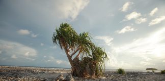 UN’s climate work at risk, after EU limits budget increase