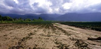 Climate-heating El Niño has arrived and threatens lives, declares UN