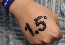 World will miss 1.5C warming limit – top UK expert