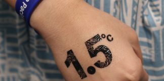 World will miss 1.5C warming limit – top UK expert