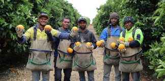 Enhancing Pacific Labour Mobility: Pacific-Australia-New Zealand visa pathways study