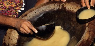 Seeing kava in a new light: NZ study to explore therapeutic potential of traditional kava use in trauma