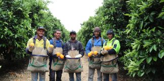 Pacific Islander workers making as little as $200 a week in Australia seek protection visas for better pay