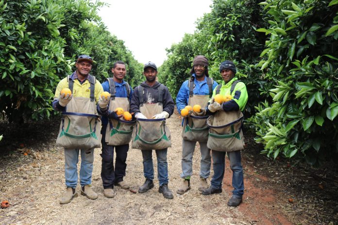 Pacific Islander workers making as little as $200 a week in Australia seek protection visas for better pay