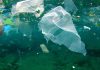 New app helps young people turn tide on plastic pollution