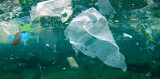 New app helps young people turn tide on plastic pollution
