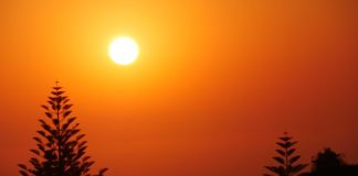 Hottest July ever signals ‘era of global boiling has arrived’ says UN chief