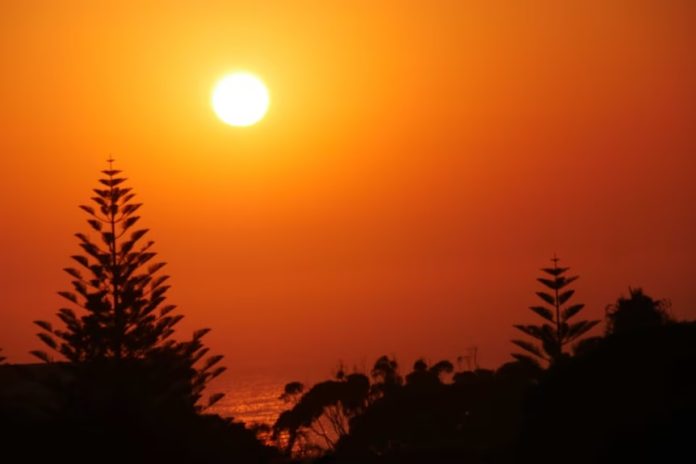 Hottest July ever signals ‘era of global boiling has arrived’ says UN chief