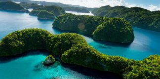 Pacific leader pushing Australia to ‘close the deal’ on hosting COP31