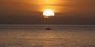 Temperatures off the charts, but more records imminent: WMO
