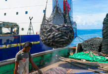 ‘The nail in the coffin to American Samoa’s tuna industry’