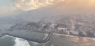 At least 36 people died in wildfires in Hawaii
