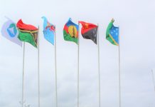 Vanuatu Minister Regenvanu condemns MSG for ‘failing’ people of West Papua