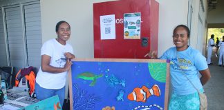 Combating plastic pollution in Fiji through Artivism