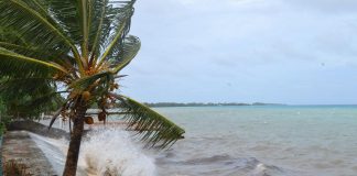 ‘Terrible’ rules starve climate-hit islands of finance, inquiry told