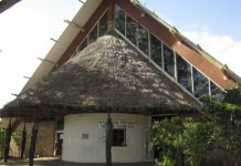 Cyclone-proofing Vanuatu’s language records