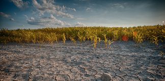 Climate crisis: Australia must ready for ‘devastating’ regional disruption, MPs told