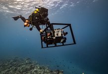 Team effort leads to Fiji’s first nationwide assessment of Coral reefs
