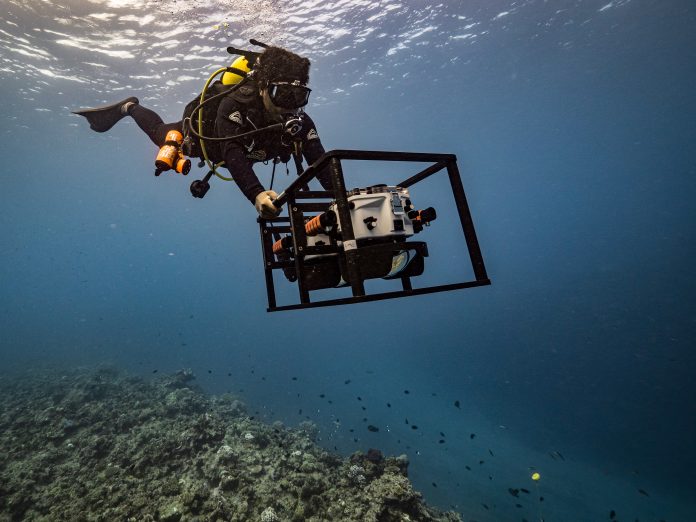 Team effort leads to Fiji’s first nationwide assessment of Coral reefs