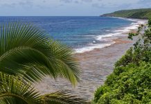 Niue announces new initiative to fund Ocean Protection