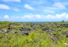 Mining once made this Pacific island unliveable, now residents fear its return