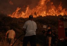 Australian Government keeping climate report hidden blasted as ‘fatal mistake’