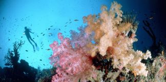 Hidden ocean acidification threatens the Pacific. Now there’s a plan to stop ‘flying blind’