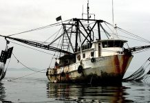 NOAA report accuses nine nations, including China , Taiwan and Vanuatu of supporting illegal fishing