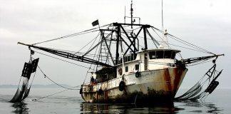 NOAA report accuses nine nations, including China , Taiwan and Vanuatu of supporting illegal fishing
