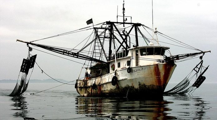 NOAA report accuses nine nations, including China , Taiwan and Vanuatu of supporting illegal fishing