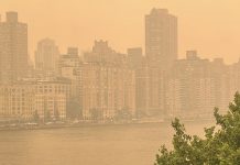‘Climate breakdown’ alert as air quality dips during heatwaves: UN chief