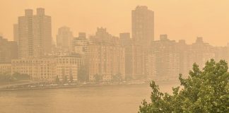 ‘Climate breakdown’ alert as air quality dips during heatwaves: UN chief