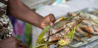 Towards healthier and more nutritious diets in Pacific Small Island Developing States