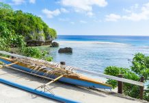 Sponsor an ocean? Tiny island nation of Niue has a novel plan to protect its slice of the Pacific