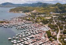 Campaigners urge U.S Exim to oppose gas project in PNG