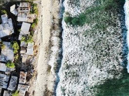 “Consensus Is the DNA of the Pacific Region”- Dr Prasad