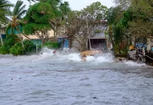 Small islands slam ‘endless’ climate talks at landmark maritime court hearing