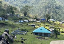 Australian support for Vanuatu in response to Tropical Cyclone Lola, two reported dead