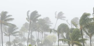 Report forecast one tropical cyclone for Samoa