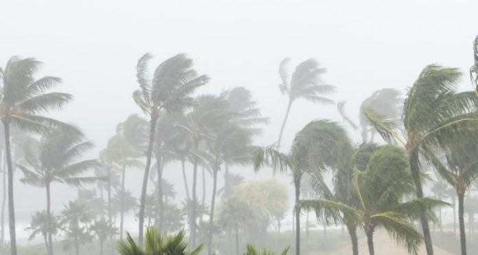 Report forecast one tropical cyclone for Samoa