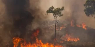 COP28: Say climate crisis, think health crisis