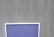 PNG senior alternate director at ADB is a strong advocate for Pacific Developing Member States (PMDCs)