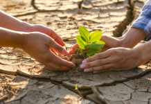 New synthesis report previews Parties’ blueprint for decision on global stocktake at COP28