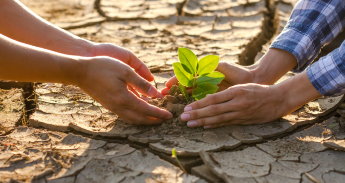 New synthesis report previews Parties’ blueprint for decision on global stocktake at COP28