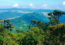 Asia Pacific environment ministers commit to action to tackle shared planetary challenges