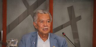 Former Cook Islands PM urges continued Cook Islands–New Zealand partnership