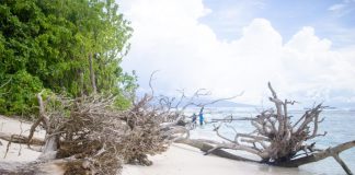 Roadmap to accessing climate finance in the Pacific